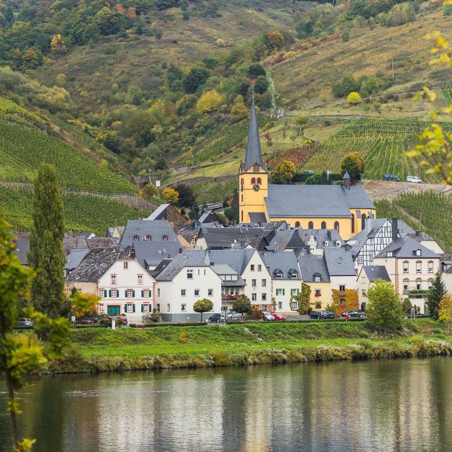 Ferienwohnung Haus Steffen เซลทิงเงน-อาคทิก ภายนอก รูปภาพ
